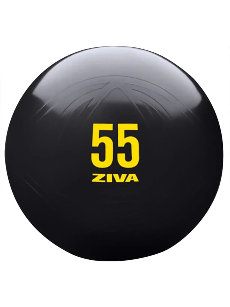 Special - Ziva Commercial-Grade Anti-Burst Core Fit Ball 1 Special - Ziva Commercial-Grade Anti-Burst Core Fit Ball