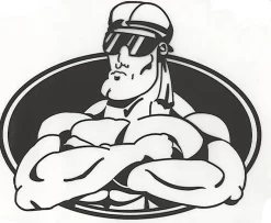 Fit Ball & Gym Ball Metal Wall Storage Ring Bracket, Black Or White 17 Fit Ball & Gym Ball Metal Wall Storage Ring Bracket, Black Or White -Fitness Equipment Store MUSCLEMANIALOGO