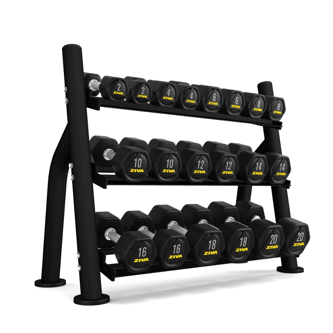 CLEARANCE- Ziva ST2 Commercial-Grade 10 Pair Dumbbell Storage Rack (Rack Only) 1 CLEARANCE- Ziva ST2 Commercial-Grade 10 Pair Dumbbell Storage Rack (Rack Only)