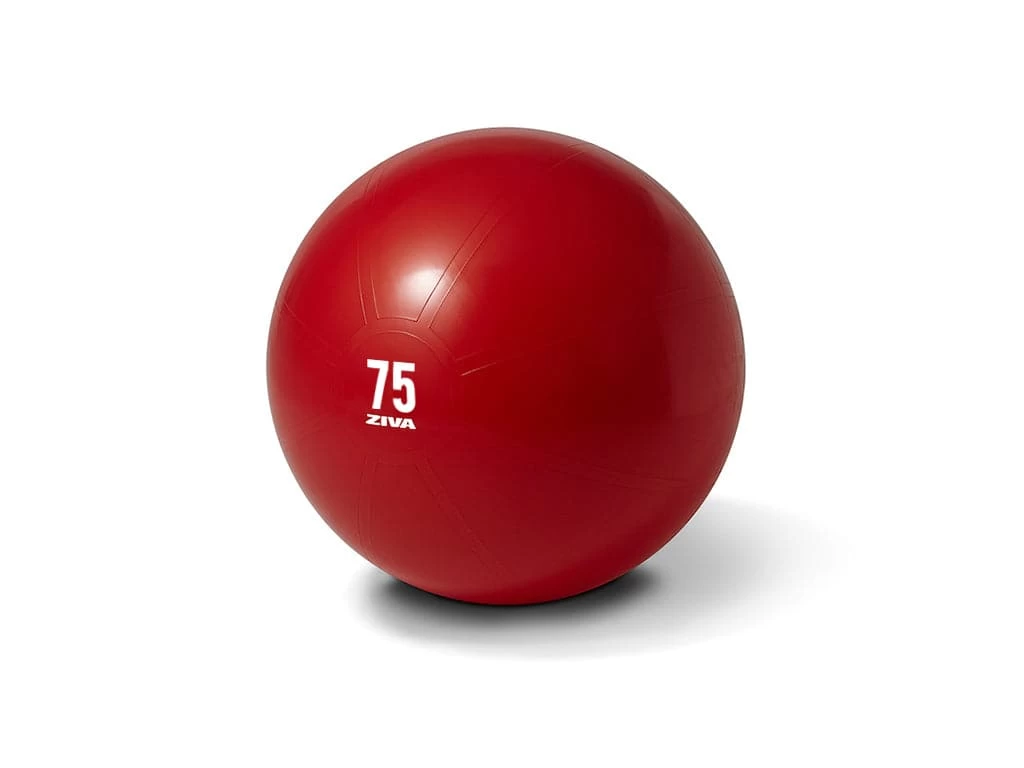 Special - Ziva Commercial-Grade Anti-Burst Core Fit Ball 2 Special - Ziva Commercial-Grade Anti-Burst Core Fit Ball - Image 2