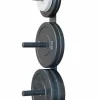 Morgan Wall Mounted Bumper Plate Rack